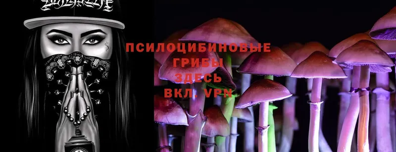 магазин  наркотиков  Урай  Галлюциногенные грибы Psilocybine cubensis 